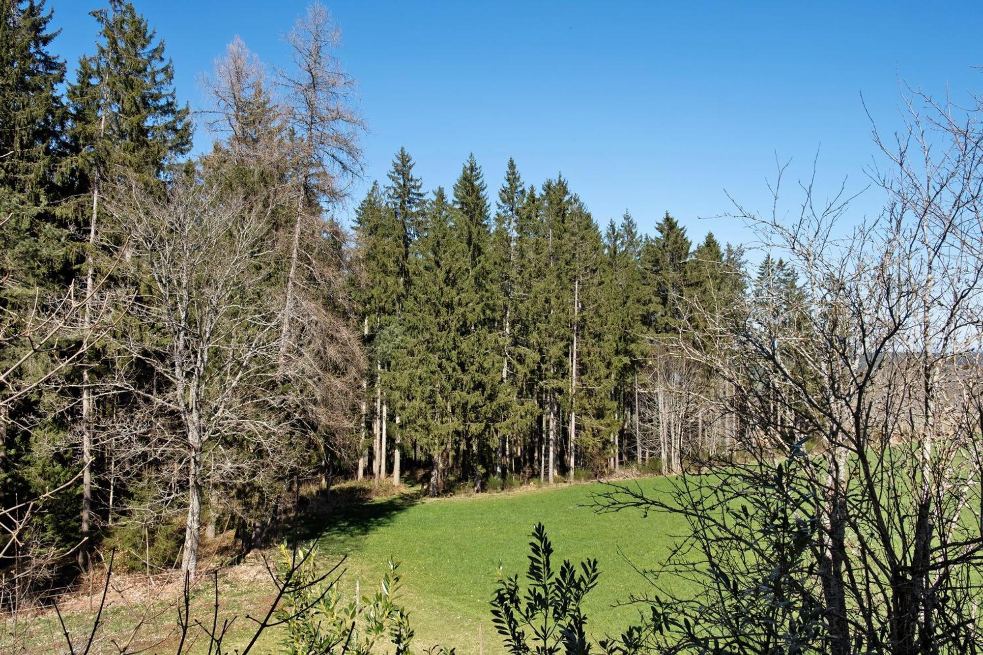 Ferienwohnung Schartenschmiede Sankt Georgen im Schwarzwald Luaran gambar